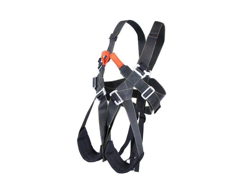 SLEADD-FORTIS FULL BODY HARNESS