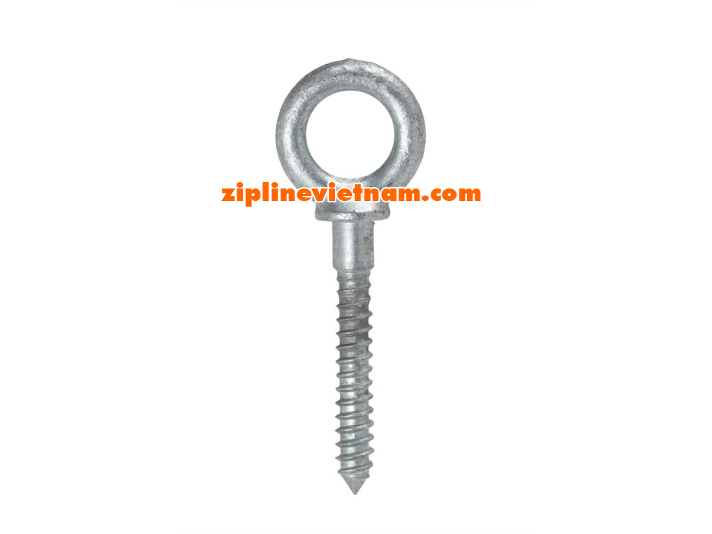 EYE LAG SCREW